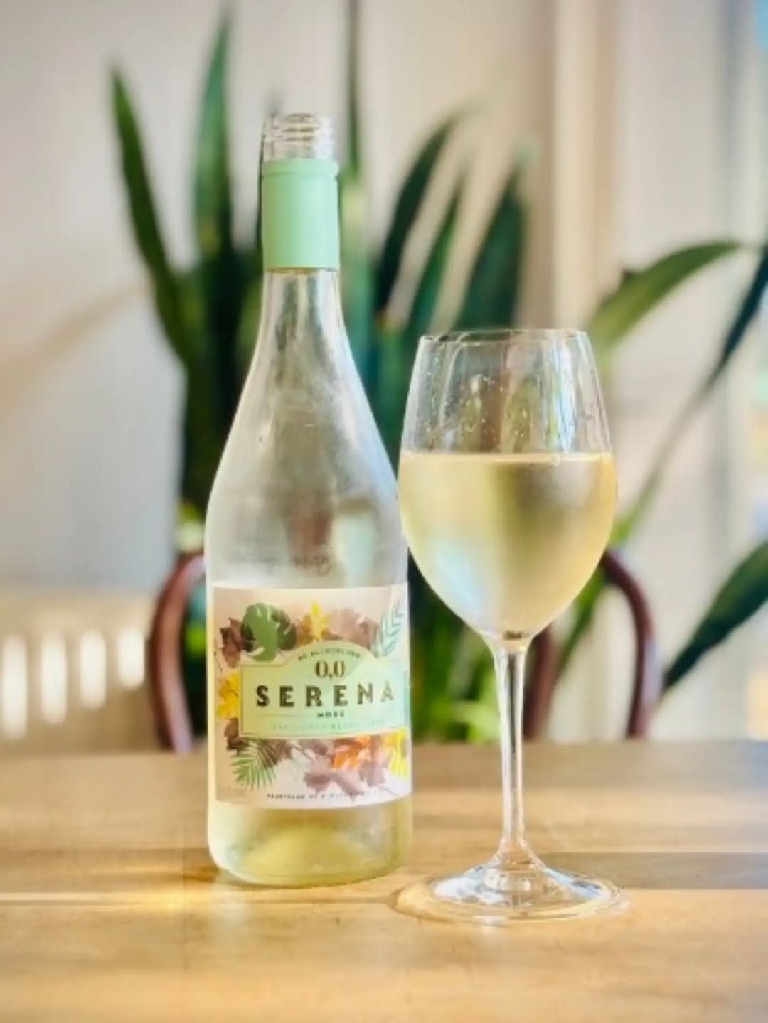 Looking for a sauvvy b without the booze?

Try the Serena!

🍷This n/a vino is f